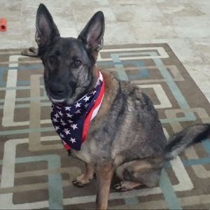 Meet your Posher, Lorrie